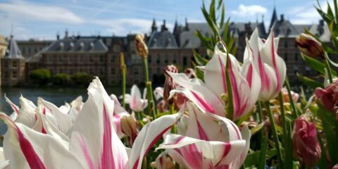 Den Haag Binnenhof