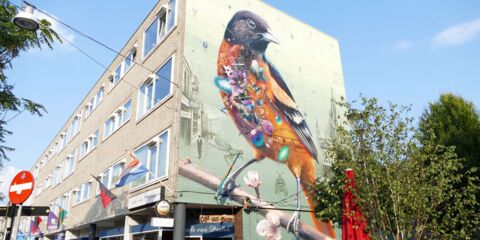 Nijmegen muur beschildering